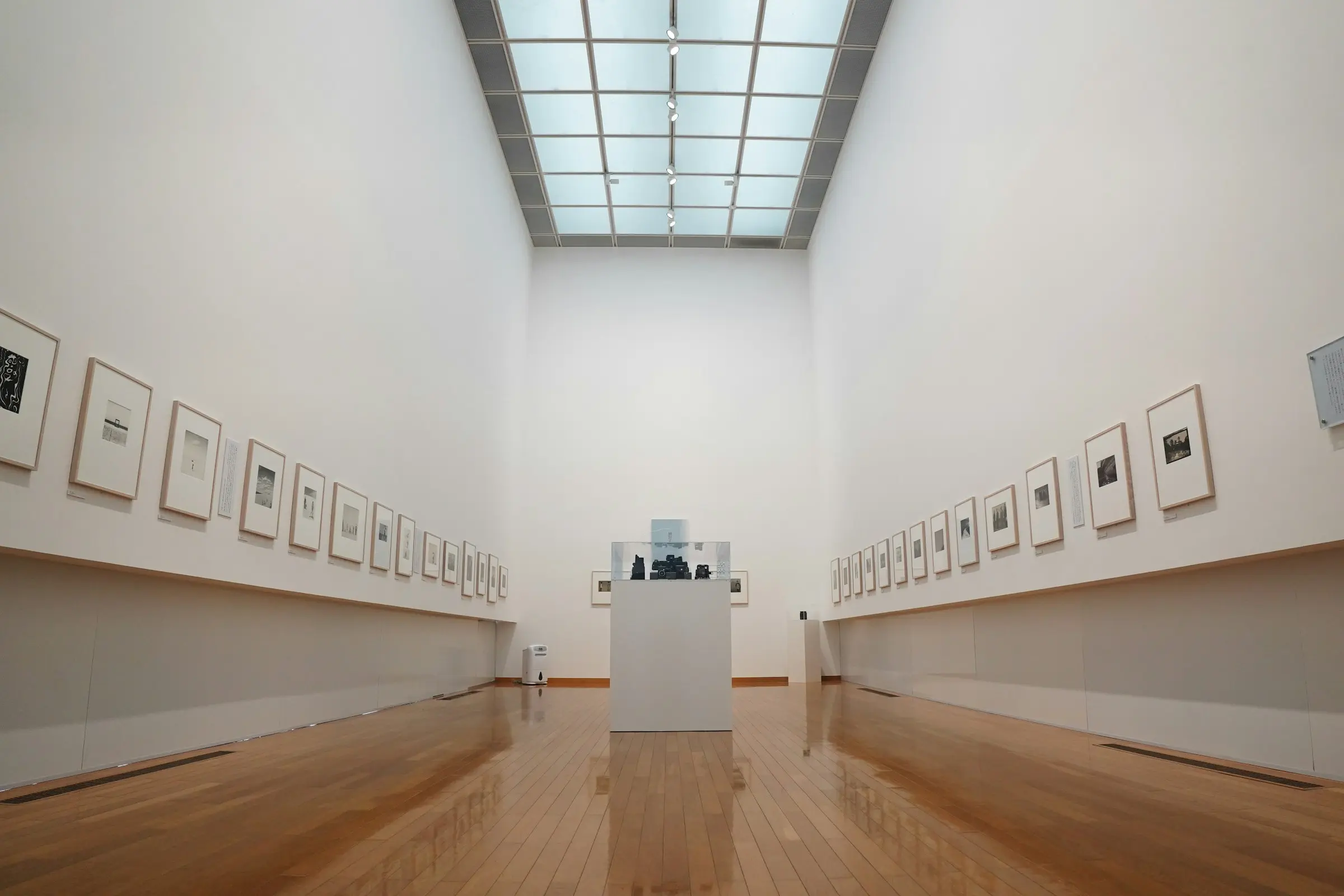 Galerie d’exposition aux murs blancs, cadres alignés et verrière zénithale